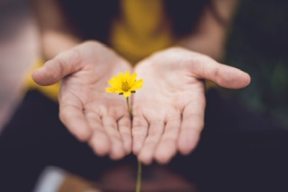 Small hand with flower